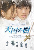 V̎ DVD-BOX